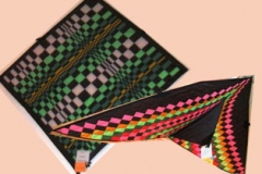 Kites-2